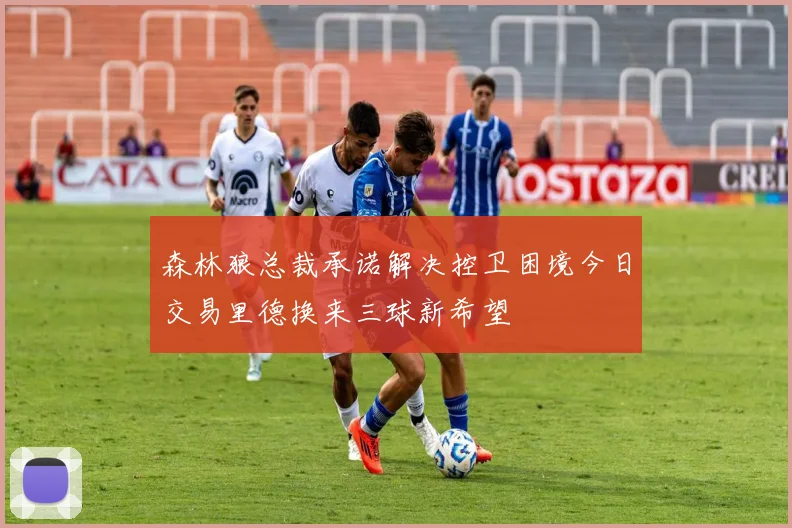 森林狼总裁承诺解决控卫困境今日交易里德换来三球新希望