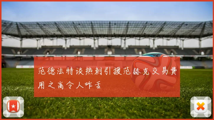 范德法特谈热刺引援范赫克交易费用之高令人咋舌